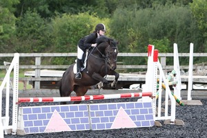 Class 6 - Fences not above 2'9